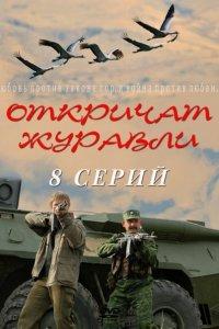 Откричат журавли (1 сезон)